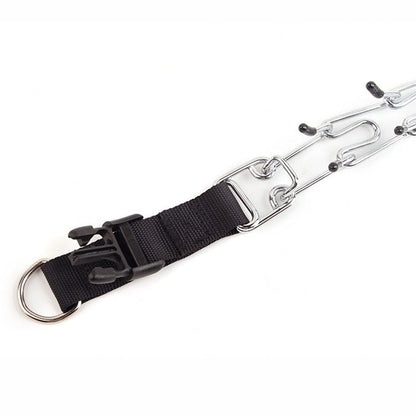 Dog Pinscher Collar - Style C