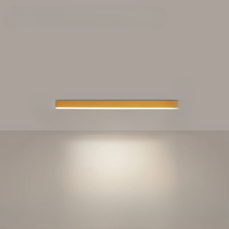 Modern LED Ceiling Light