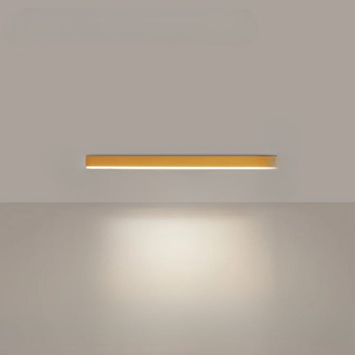 Modern LED Ceiling Light
