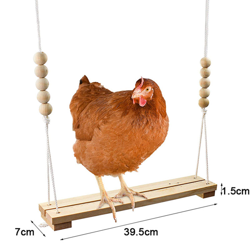 Kalsten | Chicken Swing Toy