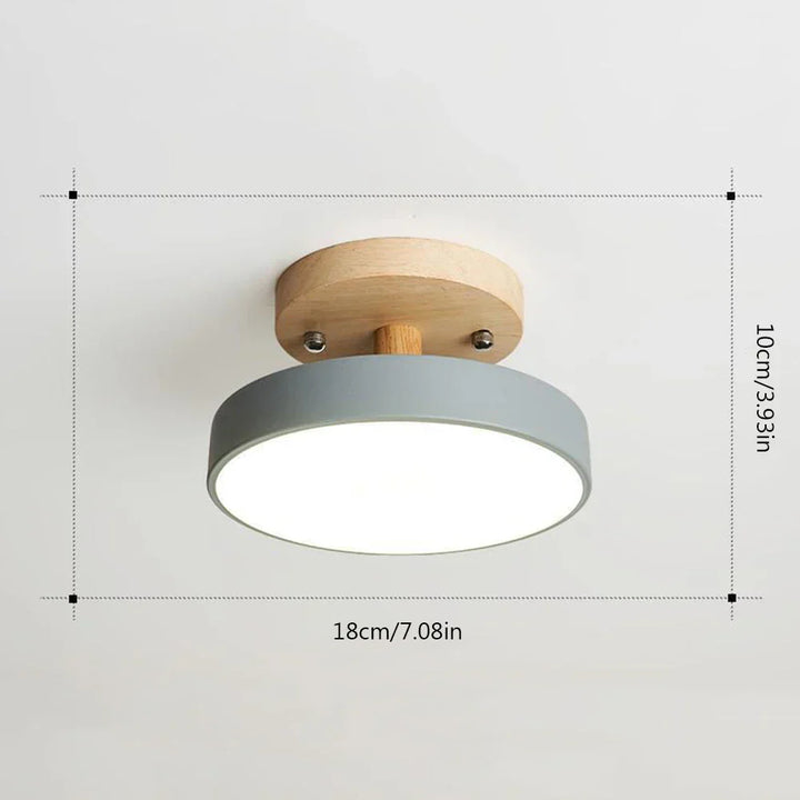 LED Ceiling Lights Chandelier Modern Ceiling LED Light for Room Surface Mounted Bedroom Living Room Corridor Balcony Lights | Kalsten
