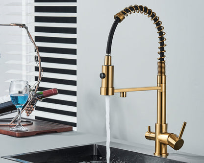 Sandsberg Black Filter Kitchen Faucet with Dual Spout – Mixer Tap with Water Filter for Kitchens, Water Treatment and Cleaning | Karnz