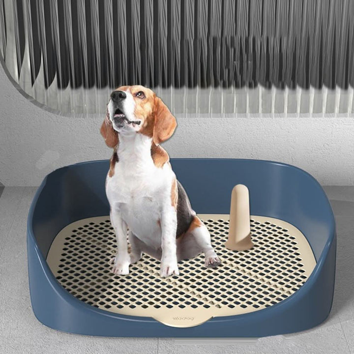 Kalsten | Toilet Trainer for Puppies with Anti-Splash Rim