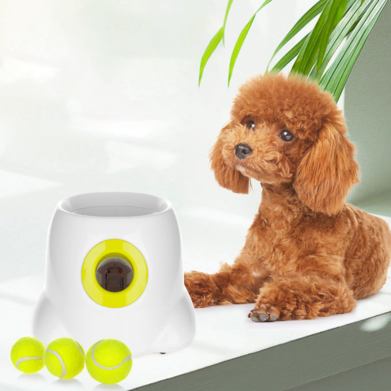 PlayBolt Automatic Ball Launcher for Dogs | Kalsten