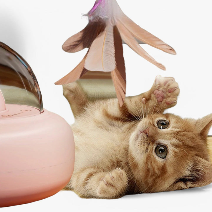 Smart Cat Laser "Hunting Light" with Rainbow Function and USB Charging Function | Kalsten