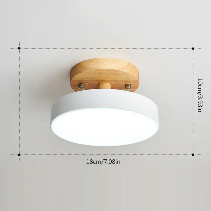 LED Ceiling Lights Chandelier Modern Ceiling LED Light for Room Surface Mounted Bedroom Living Room Corridor Balcony Lights | Kalsten
