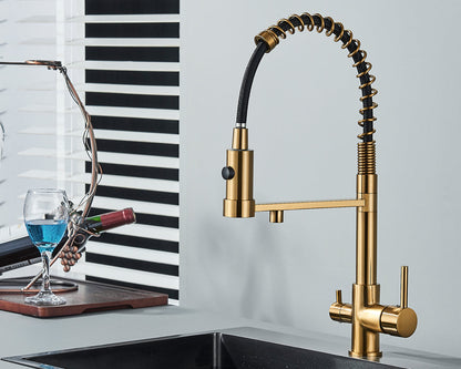 Sandsberg Black Filter Kitchen Faucet with Double Outlet – Mixer Tap with Water Filter for Kitchen, Water Treatment and Cleaning | Skanto
