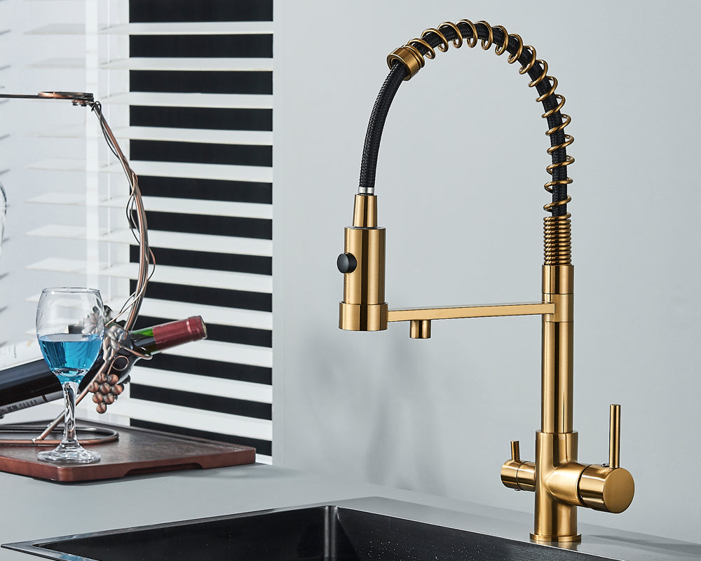 Sandsberg Black Filter Kitchen Faucet with Dual Spout – Mixer Tap with Water Filter for Kitchens, Water Treatment and Cleaning | Karnz