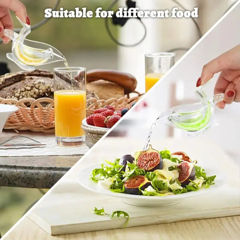 Kalsten | Acrylic Lemon Squeezer