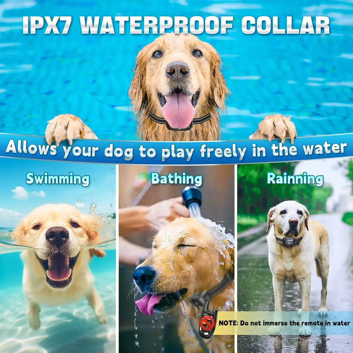 Remote Dog Training Collar – Sound & Vibration
