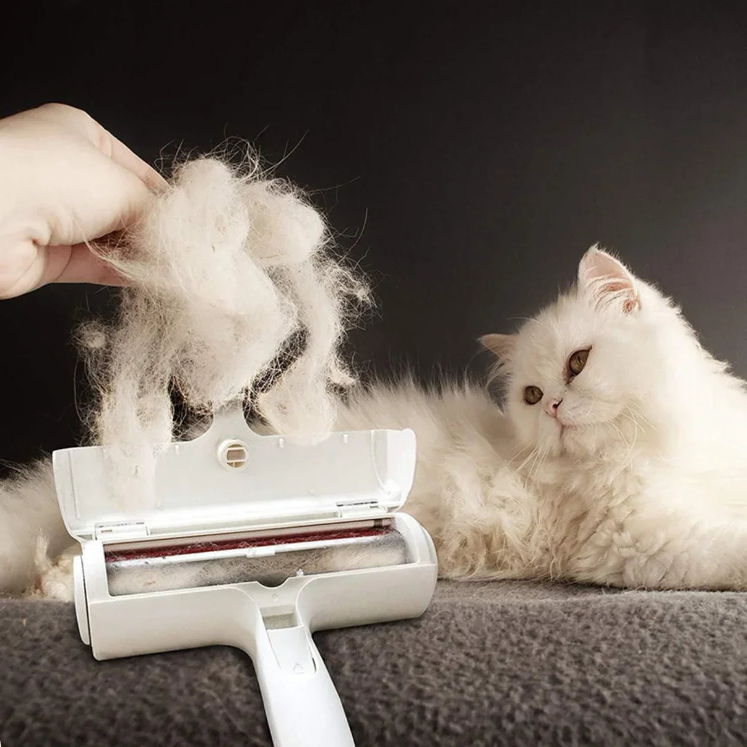 Tierhaar Removal Roller | Kalsten