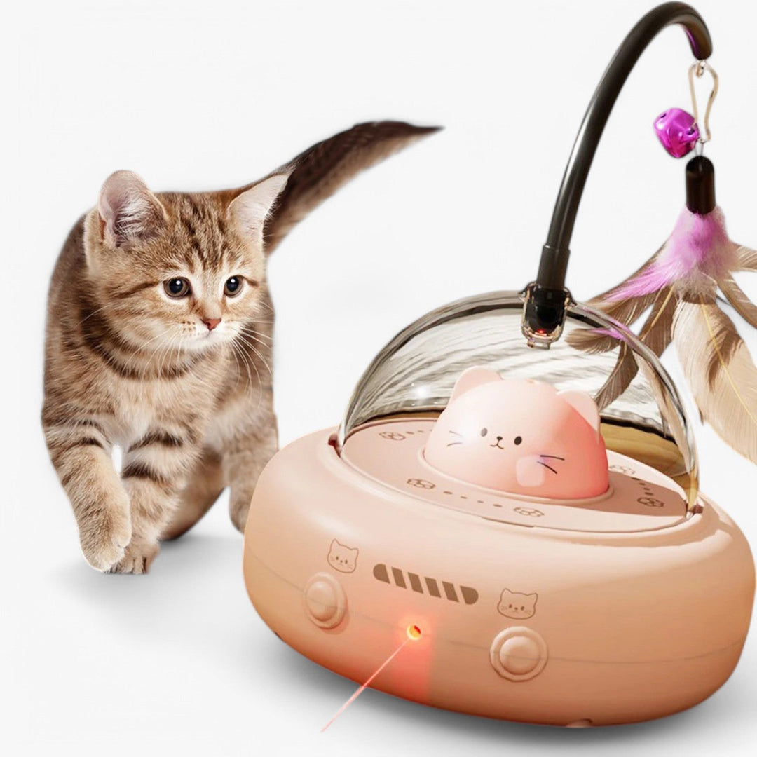 Smart Cat Laser "Hunting Light" with Rainbow Function and USB Charging Function | Kalsten