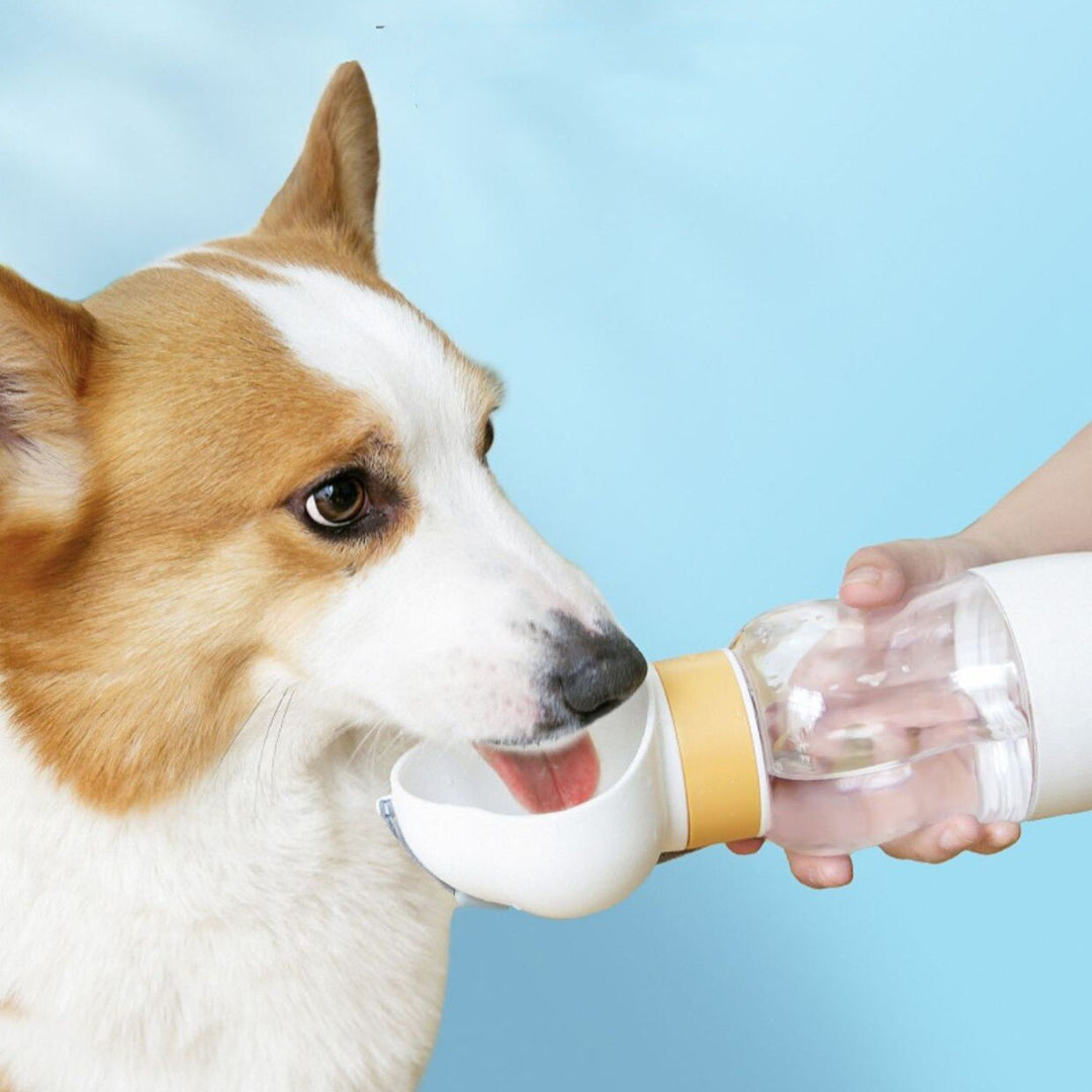 2in1 Smart Pet Portable Water Bottle Feeder | Kalsten
