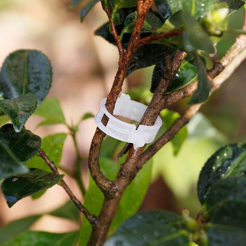 Green Garden Safe Plant Support Clips | Kalsten