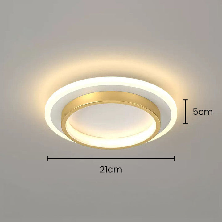 Modern Flush Mount LED Ceiling Light Kalsten