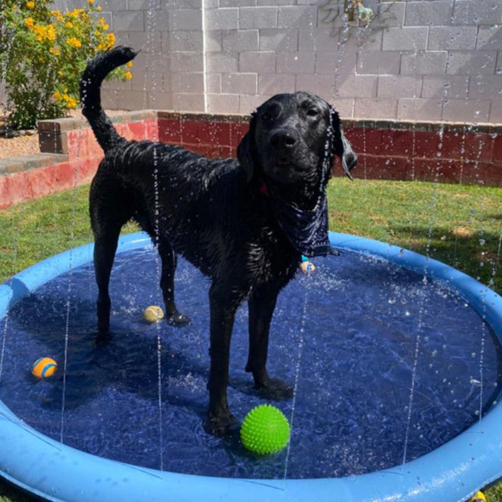 Kalsten | Paws and Play Splash Pad