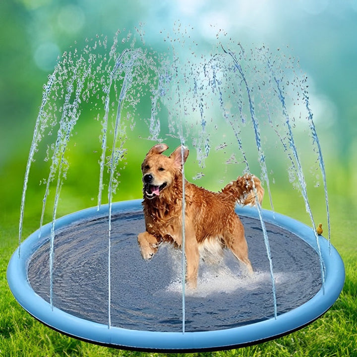 Kalsten | Paws and Play Splash Pad
