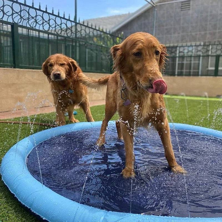 Kalsten | Paws and Play Splash Pad