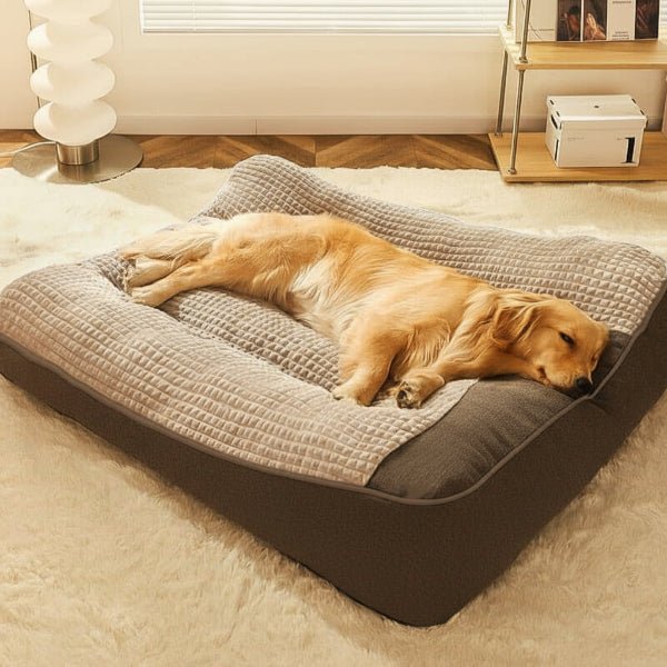 Large Orthopaedic Dog Bed with Back Support