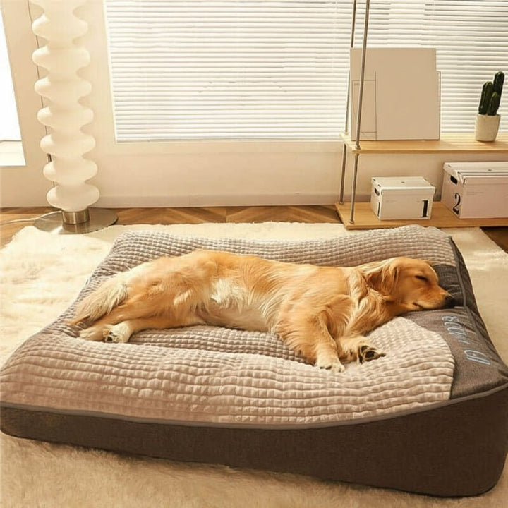 Large Orthopaedic Dog Bed with Back Support