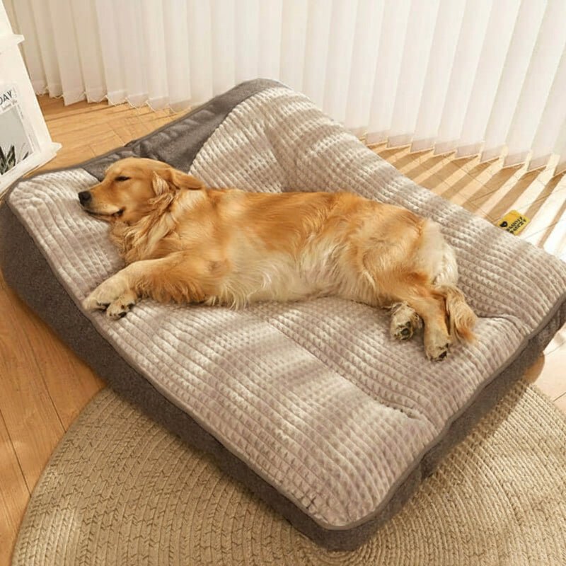 Large Orthopaedic Dog Bed with Back Support