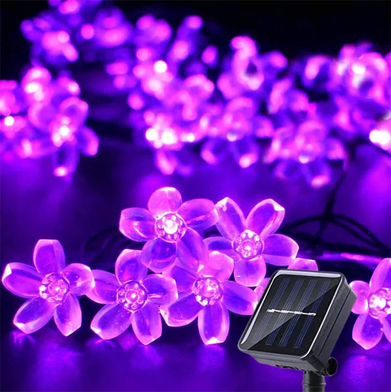 Kalsten | LumiSola Solar String Lights | 20–100 LEDs | Warm White, White or RGB | 8 Modes | For Garden & Balcony | 5–12m