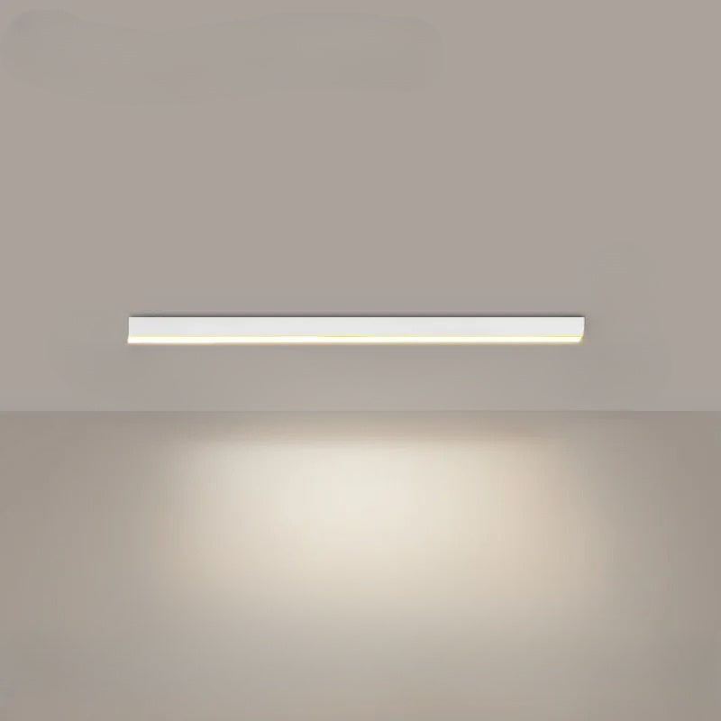 Modern LED Ceiling Light