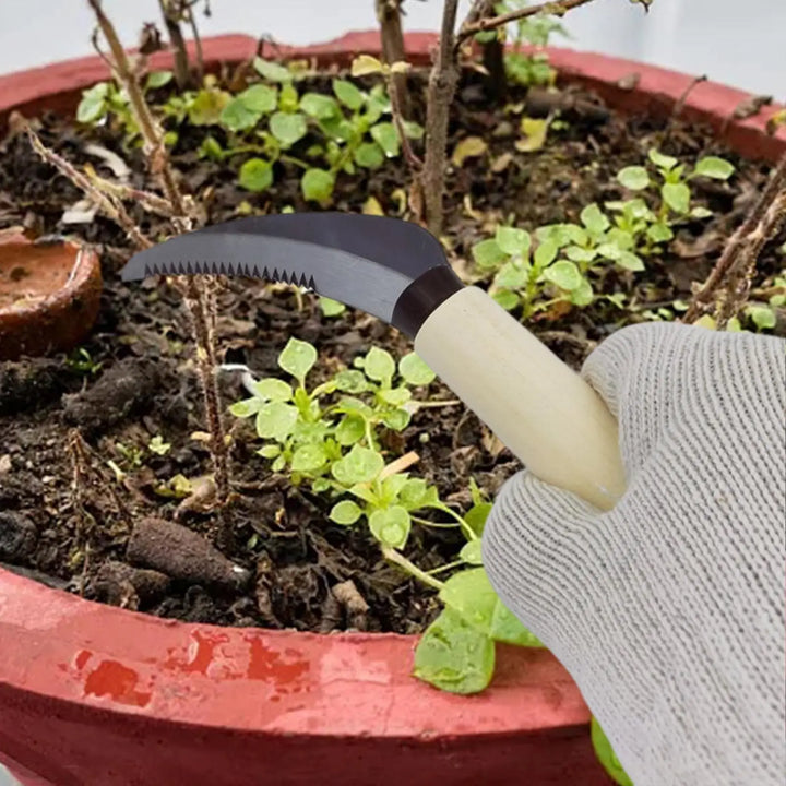 Kalsten | ZenWeed Garden Knife | Precise Stainless Steel Blade | Ergonomic Wooden Handle | Compact & Handy
