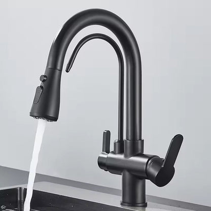 Matte Black Filter Faucet for the Kitchen, Pull-Out Spray, 360° Rotation, Three-Way Water Filter Tap, Sink Mixer | Brehn