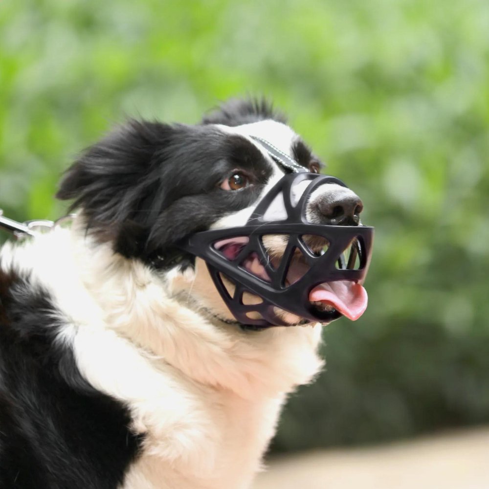 SafeBark Dog Muzzle – Effective Anti-Bite and Anti-Bark Solution, Breathable and Comfortable | Kalsten
