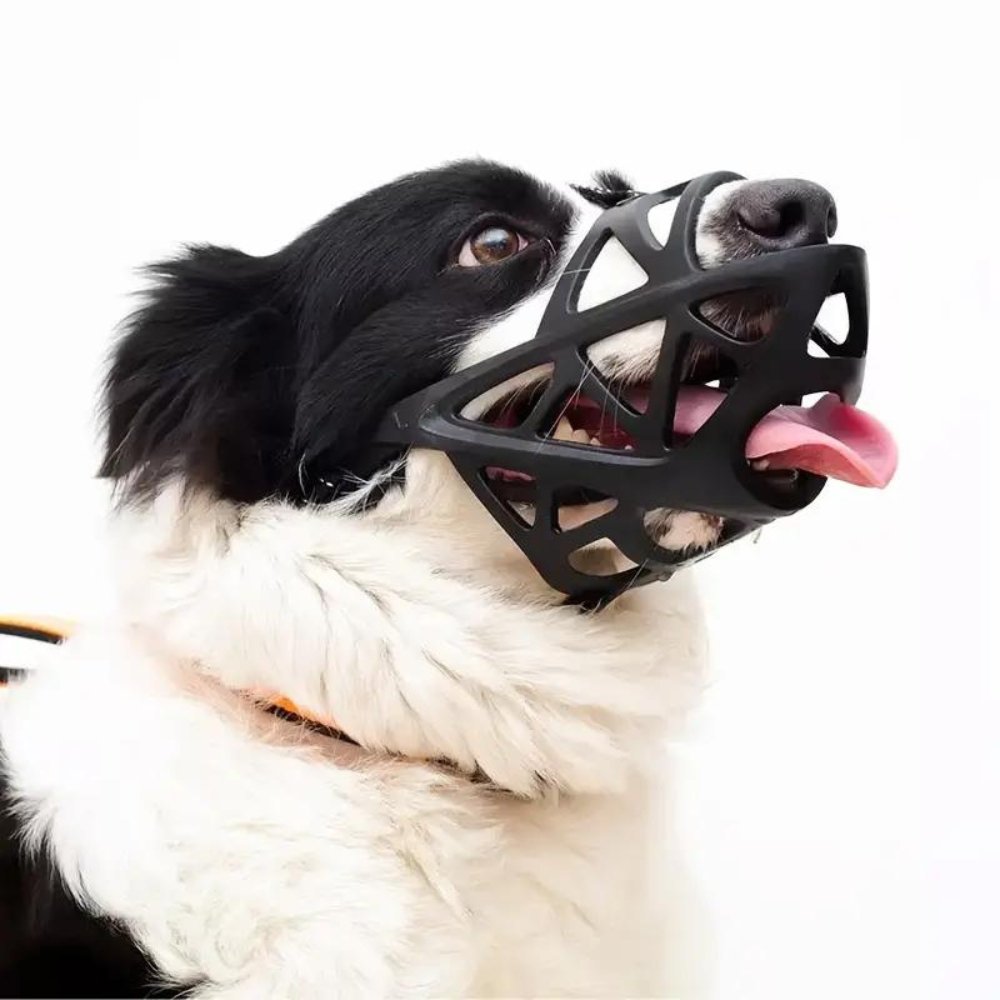 SafeBark Dog Muzzle – Effective Anti-Bite and Anti-Bark Solution, Breathable and Comfortable | Kalsten