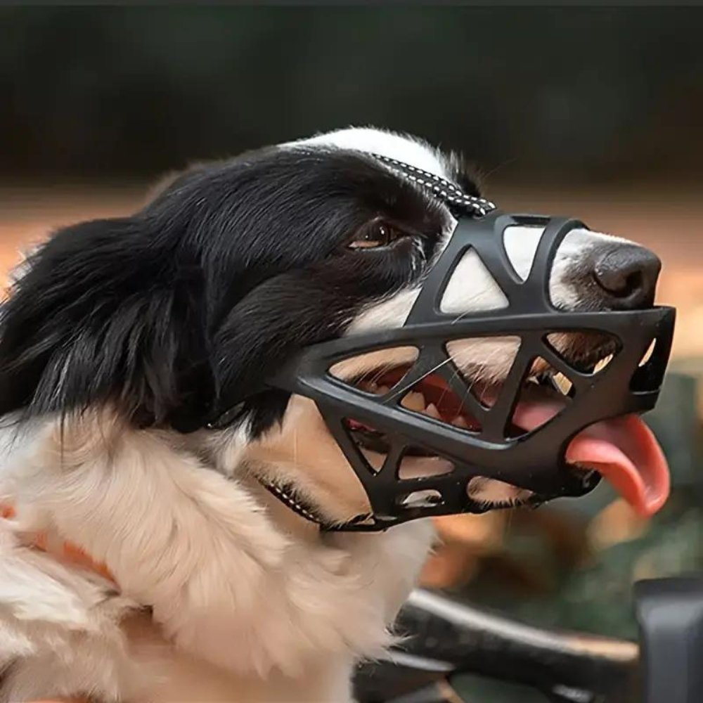 SafeBark Dog Muzzle – Effective Anti-Bite and Anti-Bark Solution, Breathable and Comfortable | Kalsten