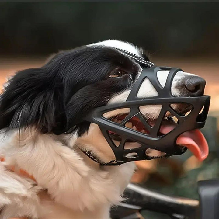 SafeBark Dog Muzzle – Effective Anti-Bite and Anti-Bark Solution, Breathable and Comfortable | Kalsten