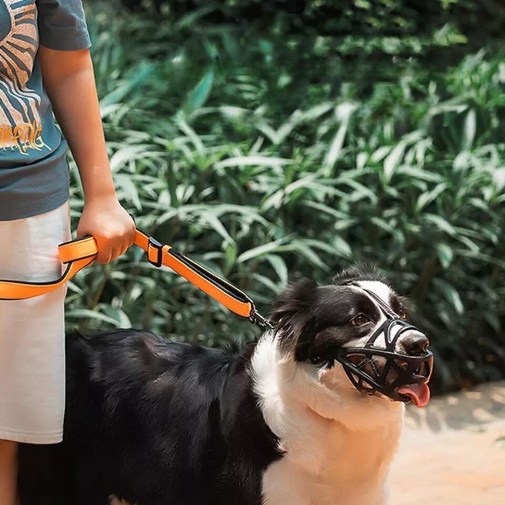 SafeBark Dog Muzzle – Effective Anti-Bite and Anti-Bark Solution, Breathable and Comfortable | Kalsten
