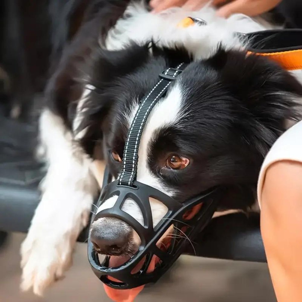 SafeBark Dog Muzzle – Effective Anti-Bite and Anti-Bark Solution, Breathable and Comfortable | Kalsten