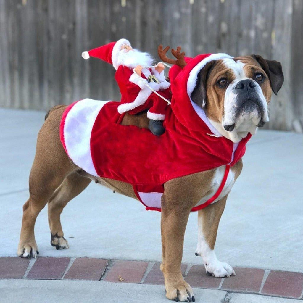 Christmas Santa Dog Costume | Kalsten