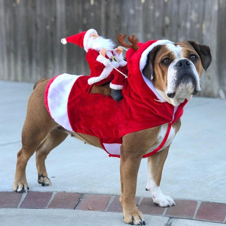 Christmas Santa Dog Costume | Kalsten
