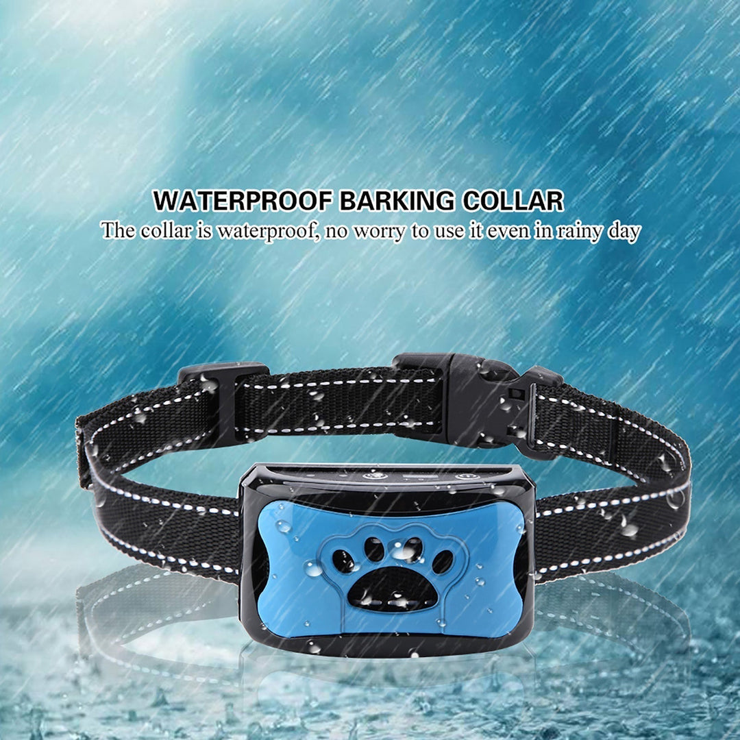 Anti-Bark Training Collar with Vibration