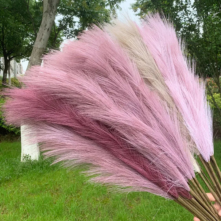Kalsten | 5 pieces 100 cm Artificial Pampas Grass Dried Flower Bouquet Wedding Party Decoration Home Room DIY Artificial Plants Decoration Supplies