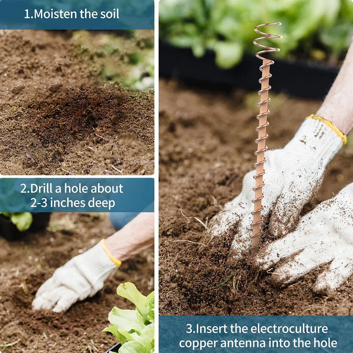 Kalsten | VerdoraFlux Electroculture Plant Antennas | Copper Growth Rods for Garden & Potted Plants | Promoting Plant Growth Without Fertilizer