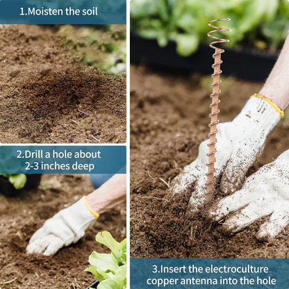 Kalsten | VerdoraFlux Electroculture Plant Antennas | Copper Growth Rods for Garden & Potted Plants | Promoting Plant Growth Without Fertilizer