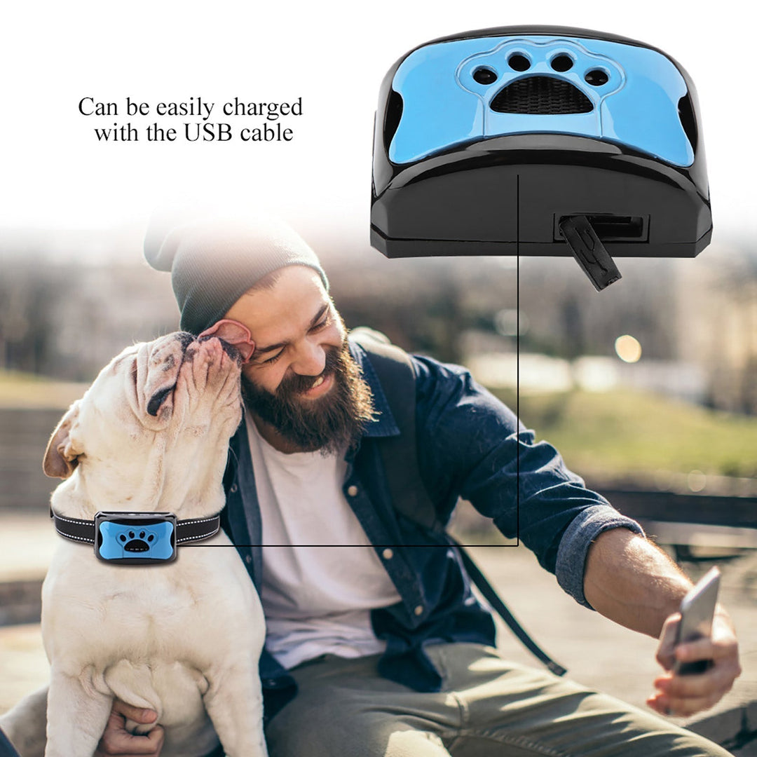 Anti-Bark Training Collar with Vibration