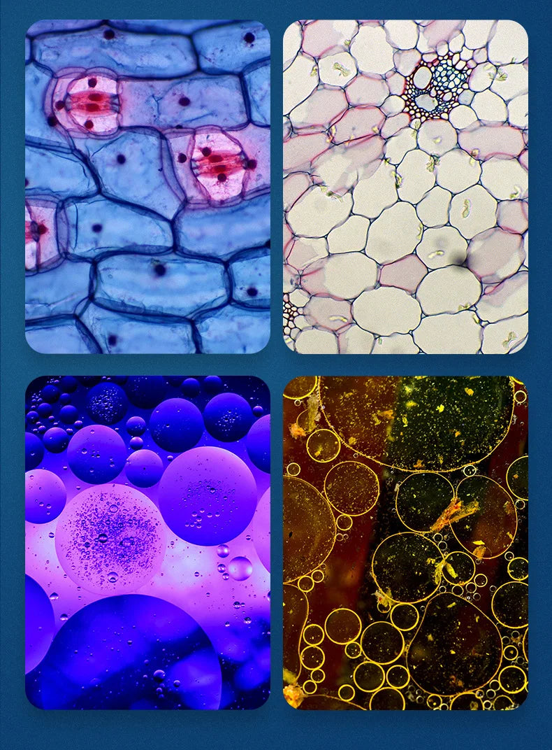 Kalsten | Portable HD Optical Adventure Microscope