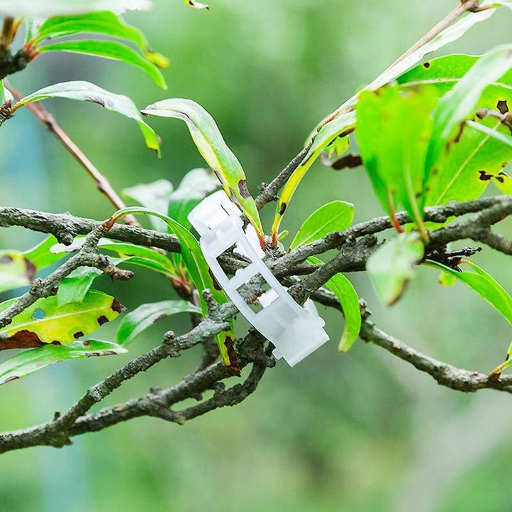 Green Garden Safe Plant Support Clips | Kalsten