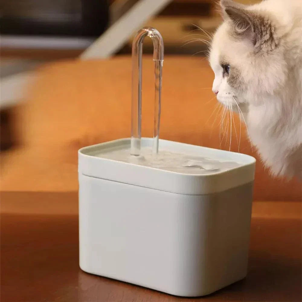 Brehn | Ultra-quiet Pet Water Fountain with Smart Filtration - 1.5 L Stainless Steel