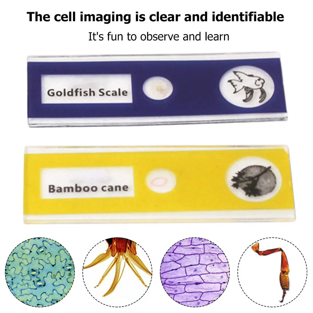 Kalsten | Portable HD Optical Adventure Microscope