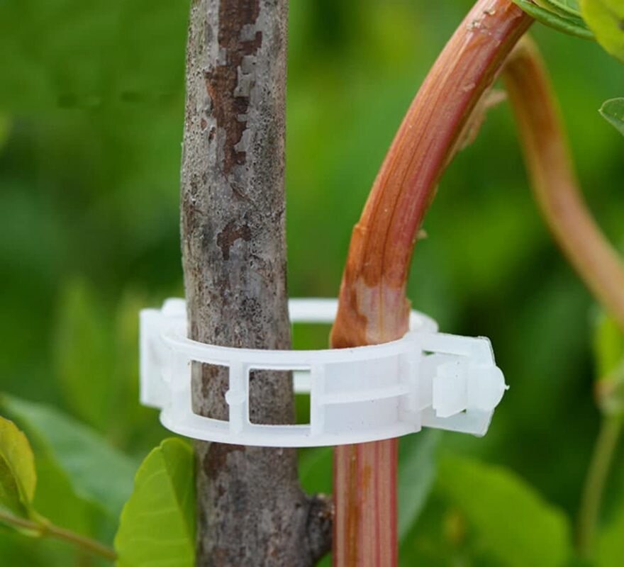 Green Garden Safe Plant Support Clips | Kalsten