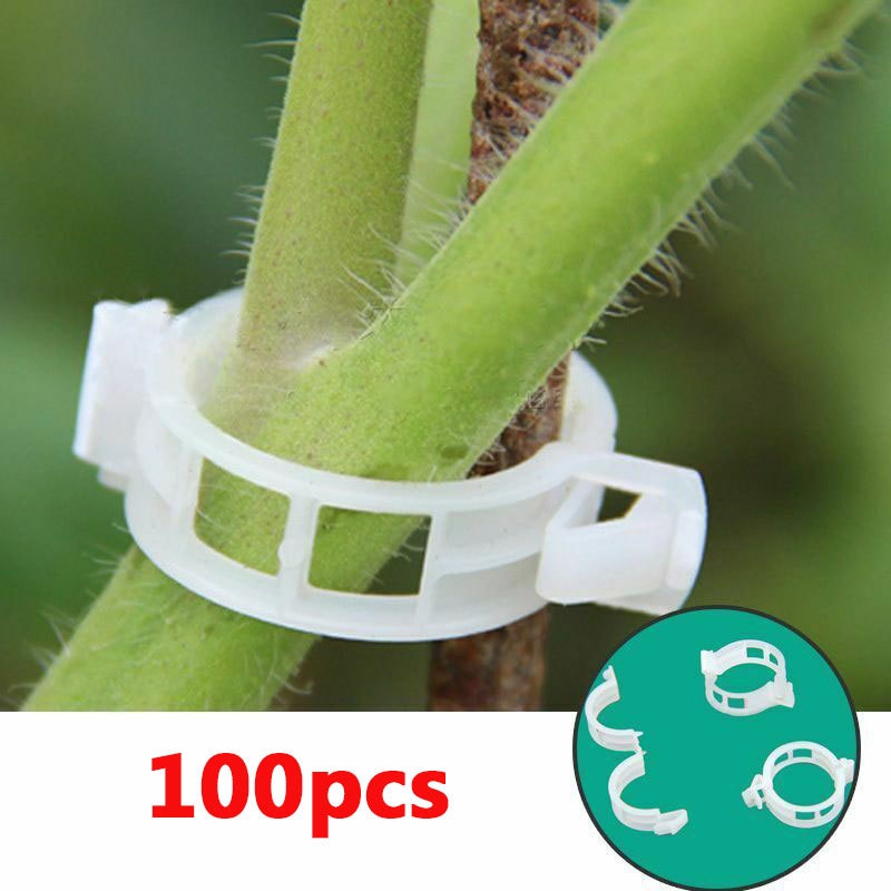 Green Garden Safe Plant Support Clips | Kalsten