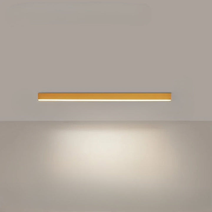 Modern LED Ceiling Light
