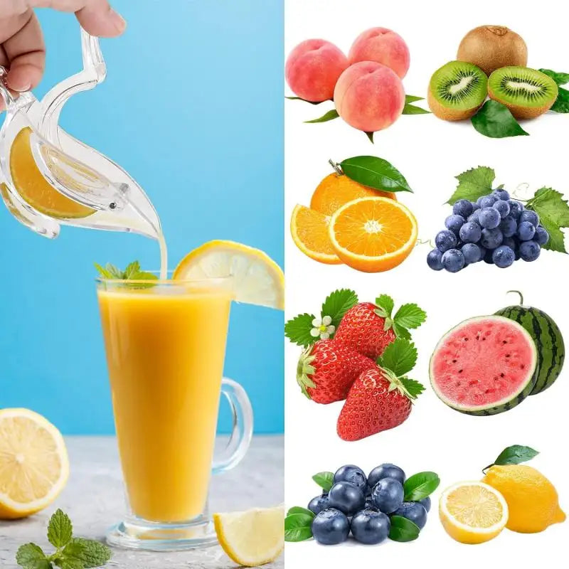 Kalsten | Acrylic Lemon Squeezer